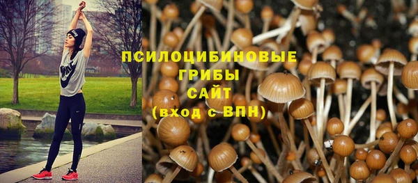 соль курить ск Нефтекумск