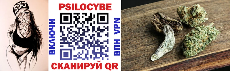 Псилоцибиновые грибы Psilocybine cubensis  наркотики  Павлово 