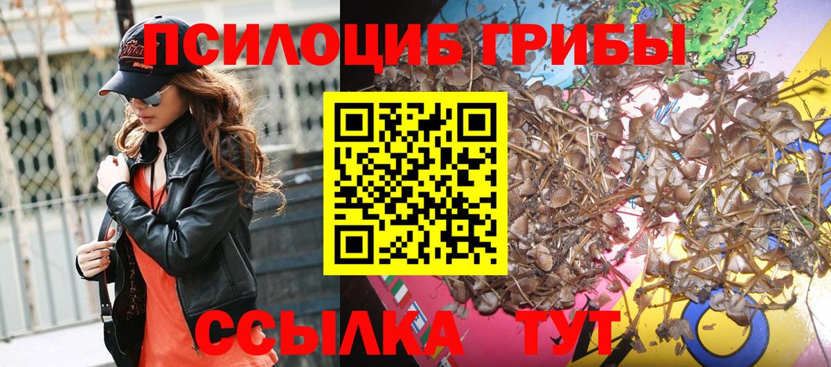 Павлово  Галлюциногенные грибы мицелий  купить наркотик  Вход с VPN 