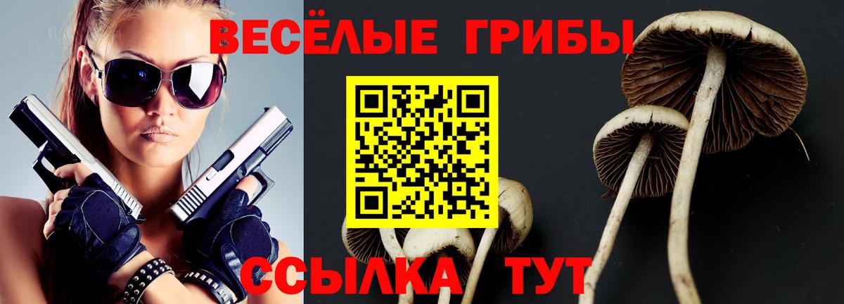 Павлово  Галлюциногенные грибы Magic Shrooms  Вход с VPN 