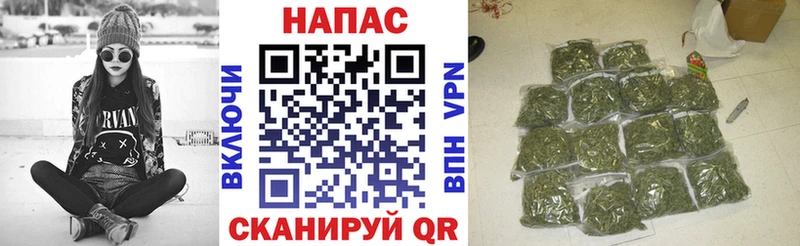 Каннабис сатива  Павлово 